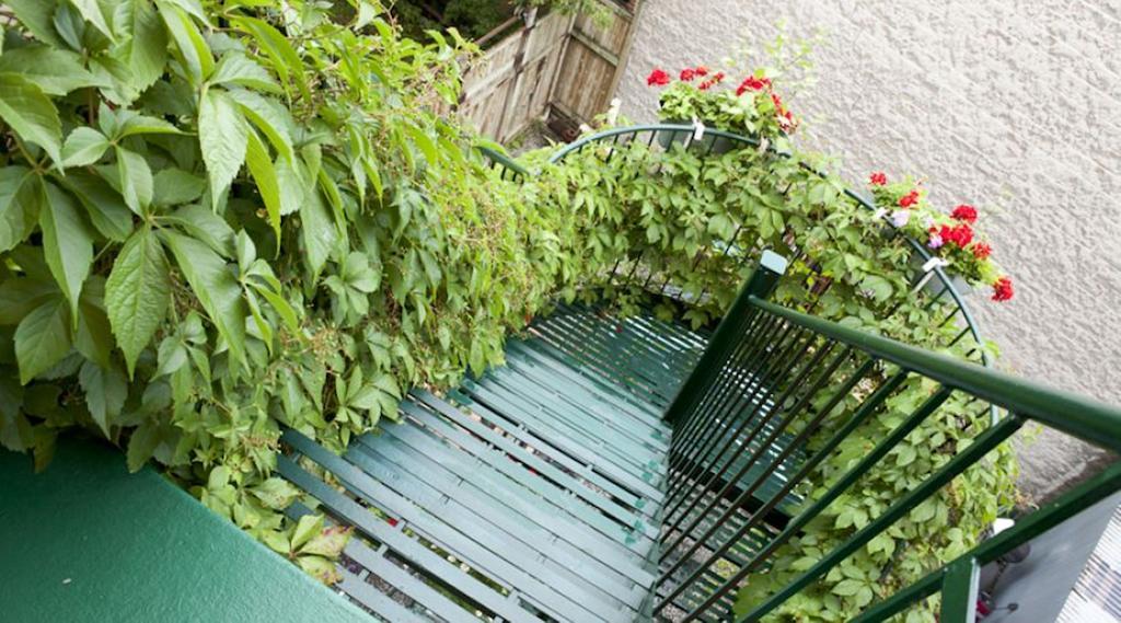 Gite Du Parc Lafontaine Montréal Exterior foto