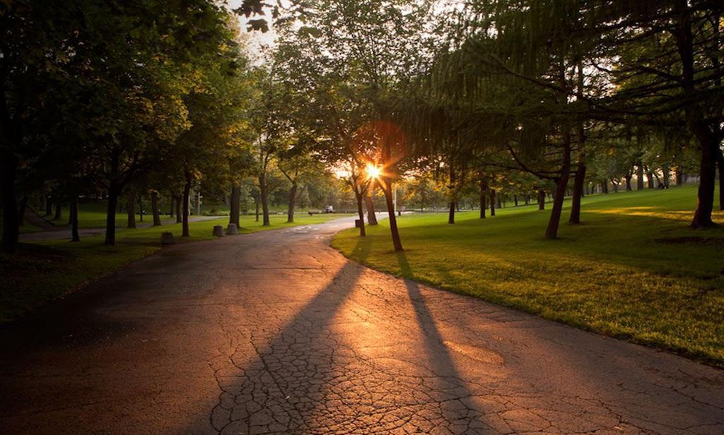 Gite Du Parc Lafontaine Montréal Exterior foto